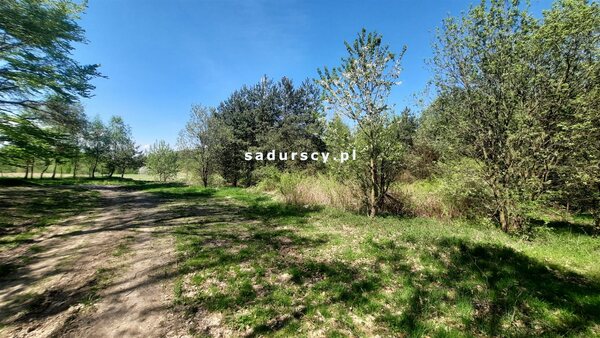 Działka 5760 m2 w Będkowice