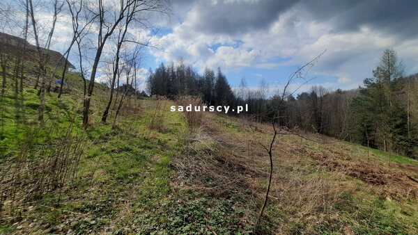 Działka 2300 m2 w Borzęta