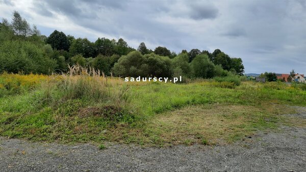 Działka 4500 m2 w Głogoczów