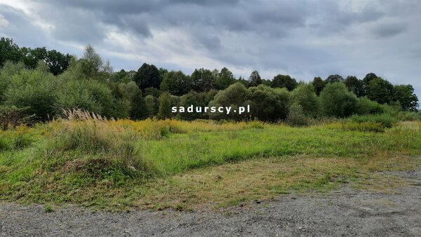 Działka 4500 m2 w Głogoczów