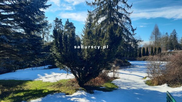 Działka 1392 m2 w Rabka-Zdrój