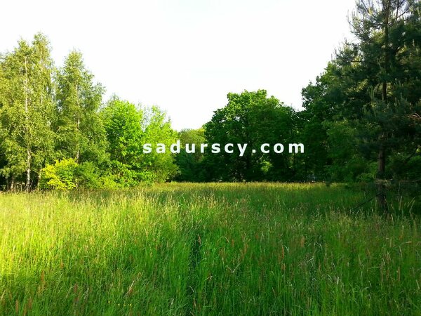 Działka 4500 m2 w Lasek