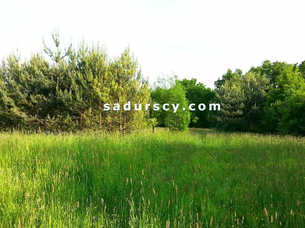 Działka 4500 m2 w Lasek