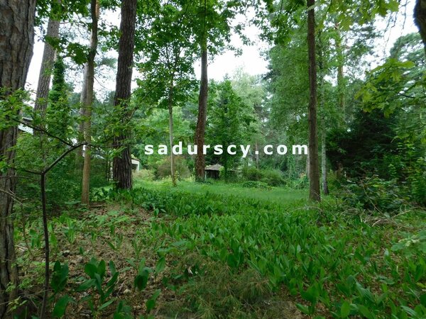 Działka 1659 m2 w Konstancin-Jeziorna