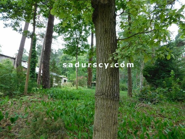 Działka 1659 m2 w Konstancin-Jeziorna