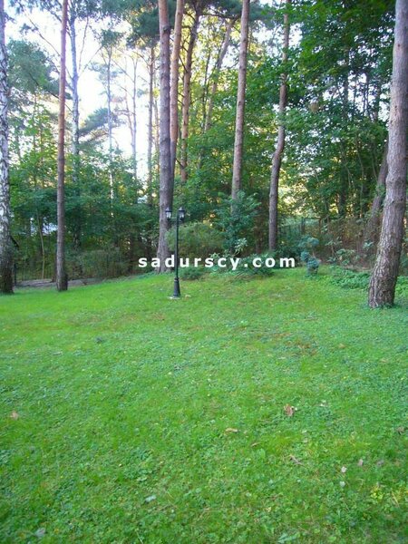 Działka 1659 m2 w Konstancin-Jeziorna