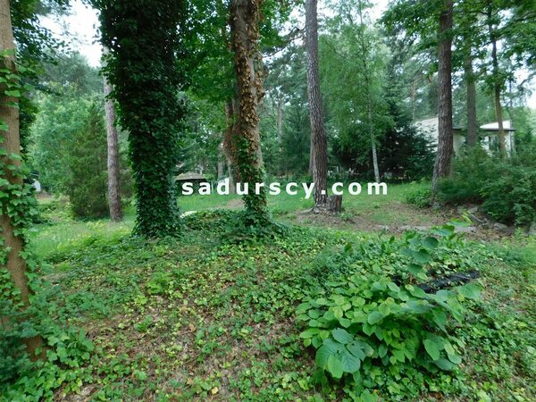 Działka 1659 m2 w Konstancin-Jeziorna