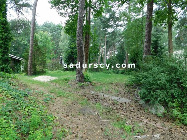 Działka 1659 m2 w Konstancin-Jeziorna