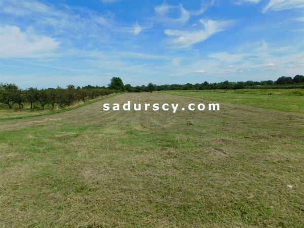 Działka 10000 m2 w Wólka Dworska