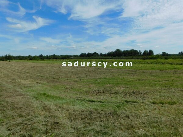 Działka 10000 m2 w Wólka Dworska
