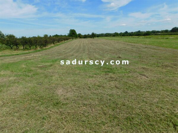 Działka 10000 m2 w Wólka Dworska