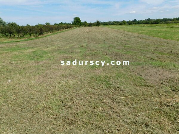 Działka 10000 m2 w Wólka Dworska