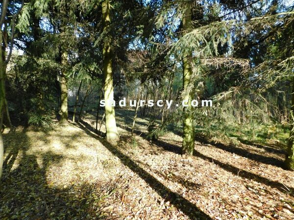 Działka 4100 m2 w Biały Ług