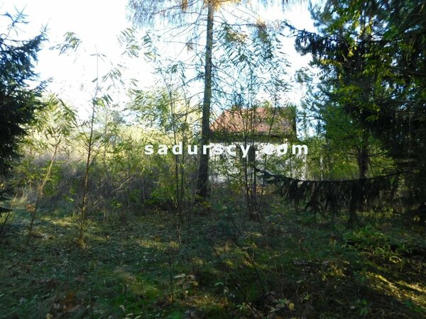 Działka 4100 m2 w Biały Ług