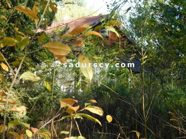 Działka 4100 m2 w Biały Ług