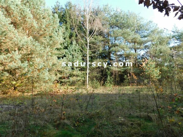 Działka 4100 m2 w Biały Ług