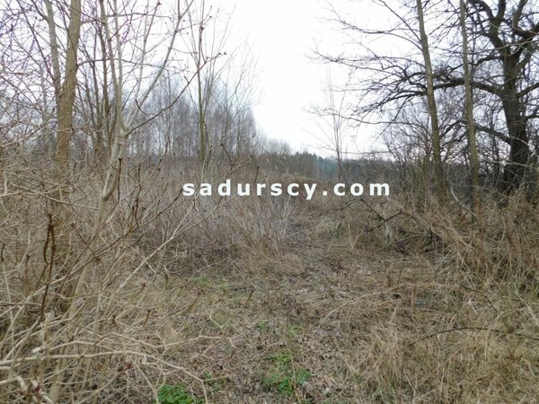 Działka 25100 m2 w Nowy Prażmów