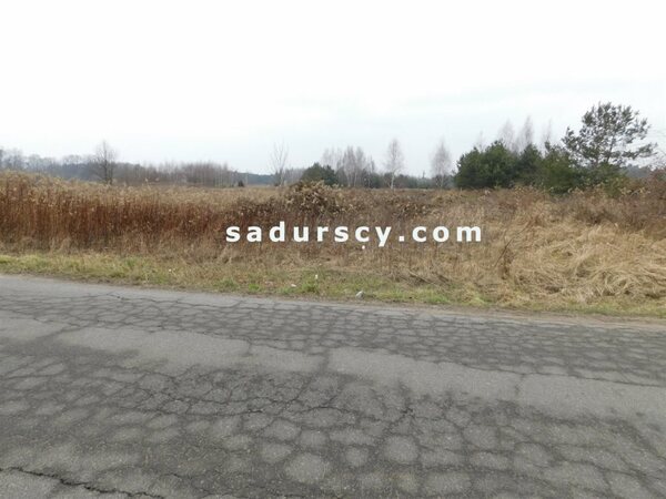 Działka 25100 m2 w Nowy Prażmów