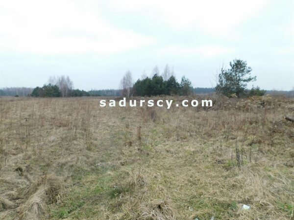 Działka 25100 m2 w Nowy Prażmów