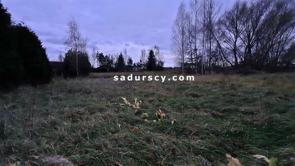 Działka 10331 m2 w Dobiesz