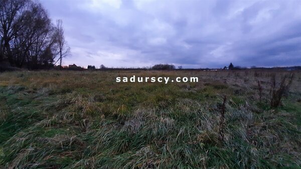 Działka 10331 m2 w Dobiesz