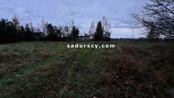 Działka 10331 m2 w Dobiesz