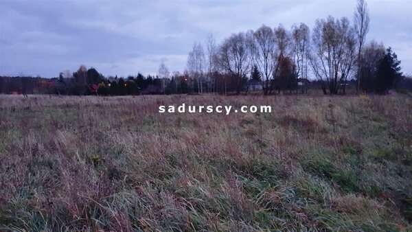 Działka 1444 m2 w Dobiesz