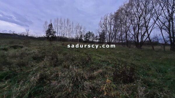 Działka 1462 m2 w Dobiesz